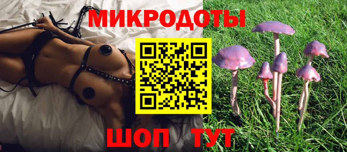 Галлюциногенные грибы GOLDEN TEACHER  Галлюциногенные грибы MAGIC MUSHROOMS  Арсеньев  Вход с VPN 